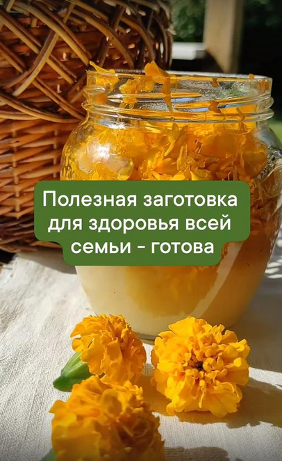 [Разнотравье] Медовые эликсиры (2024)_0.png